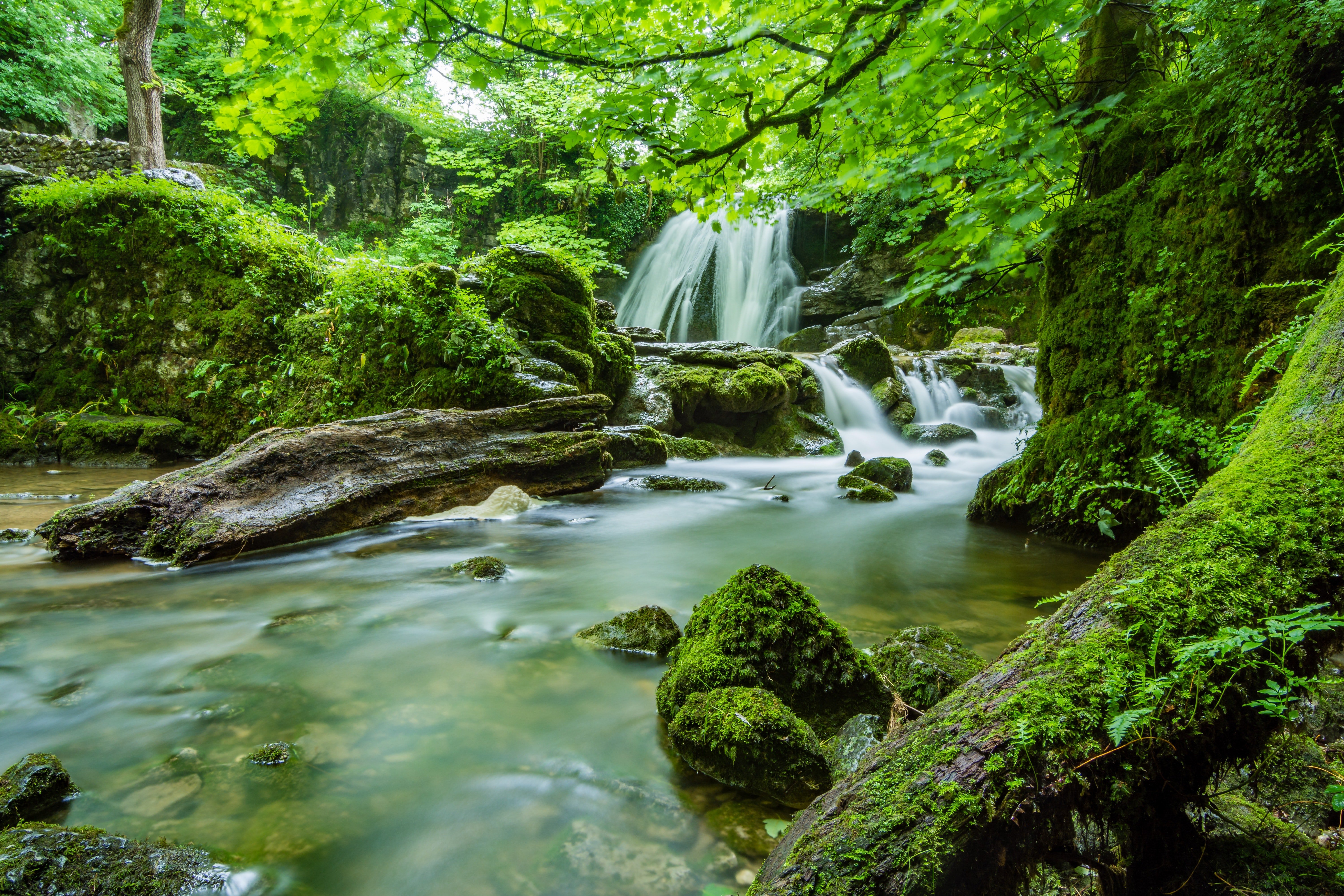 Pictured - An image of waterfalls in a forest | Source: Pexels 