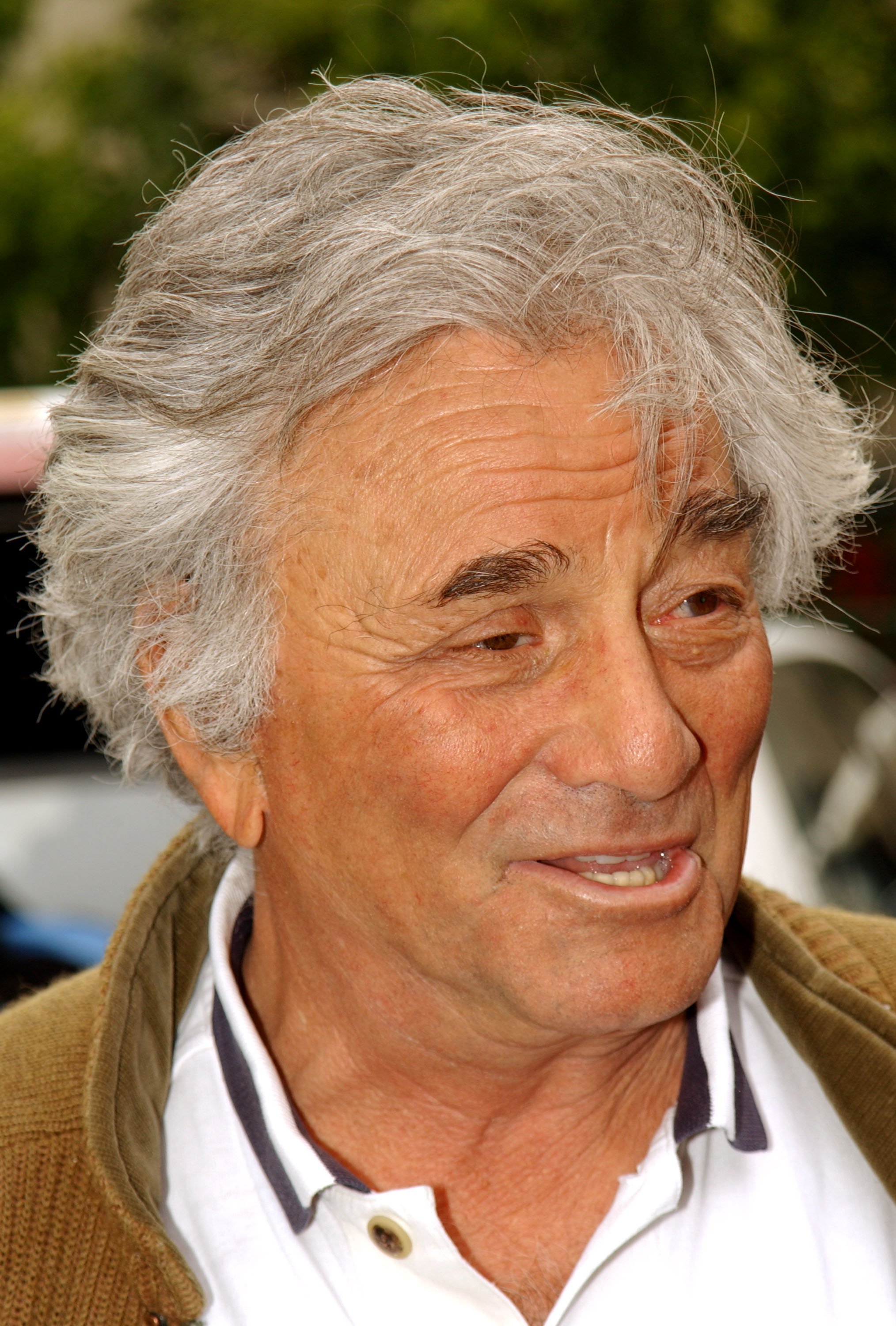 Peter Falk during the 3rd Annual Academy of Television Arts & Sciences Foundation Celebrity Golf Classic in Los Angeles, California, on April 8, 2002 | Source: Getty Images