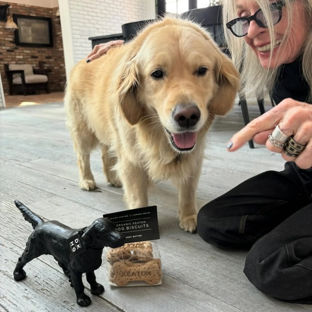 Diane Keaton pictured with her pet, dated April 11, 2025 | Source: Instagram/hudsongracesf