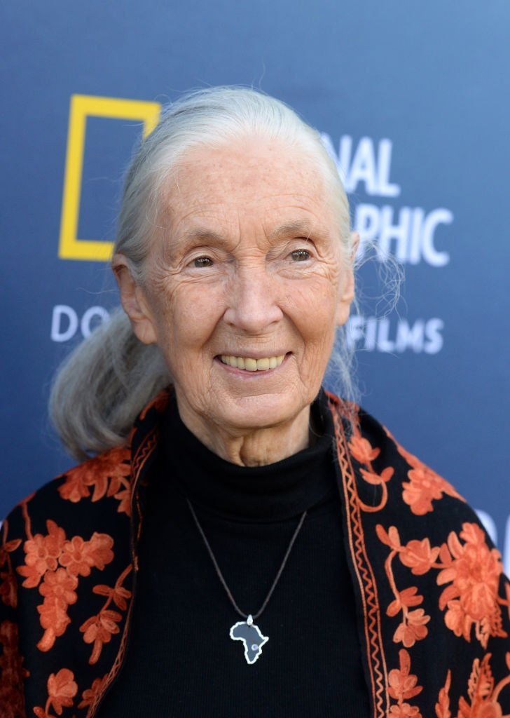 Jane Goodall attends National Geographic Documentary Films’ SEA OF SHADOWS Los Angeles Premiere at NeueHouse Los Angeles | Photo: Getty Images