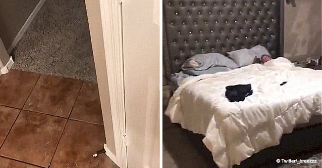 Dad hears howling in bedroom and finds the interaction between his son and dog that goes viral