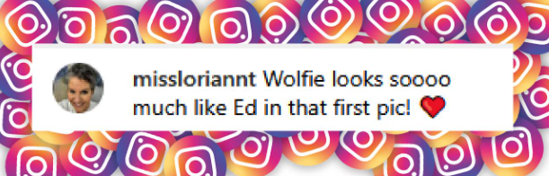 A fan's comment on Valerie Bertinelli post about her son, Wolfgang, from a post dated July 6, 2025 | Source: Instagram/wolfiesmom