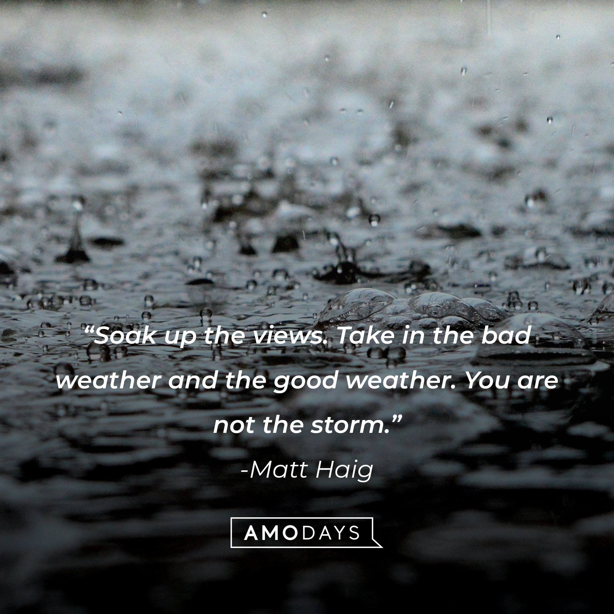 Matt Haig's quote: “Soak up the views. Take in the bad weather and the good weather. You are not the storm.” | Image: AmoDays
