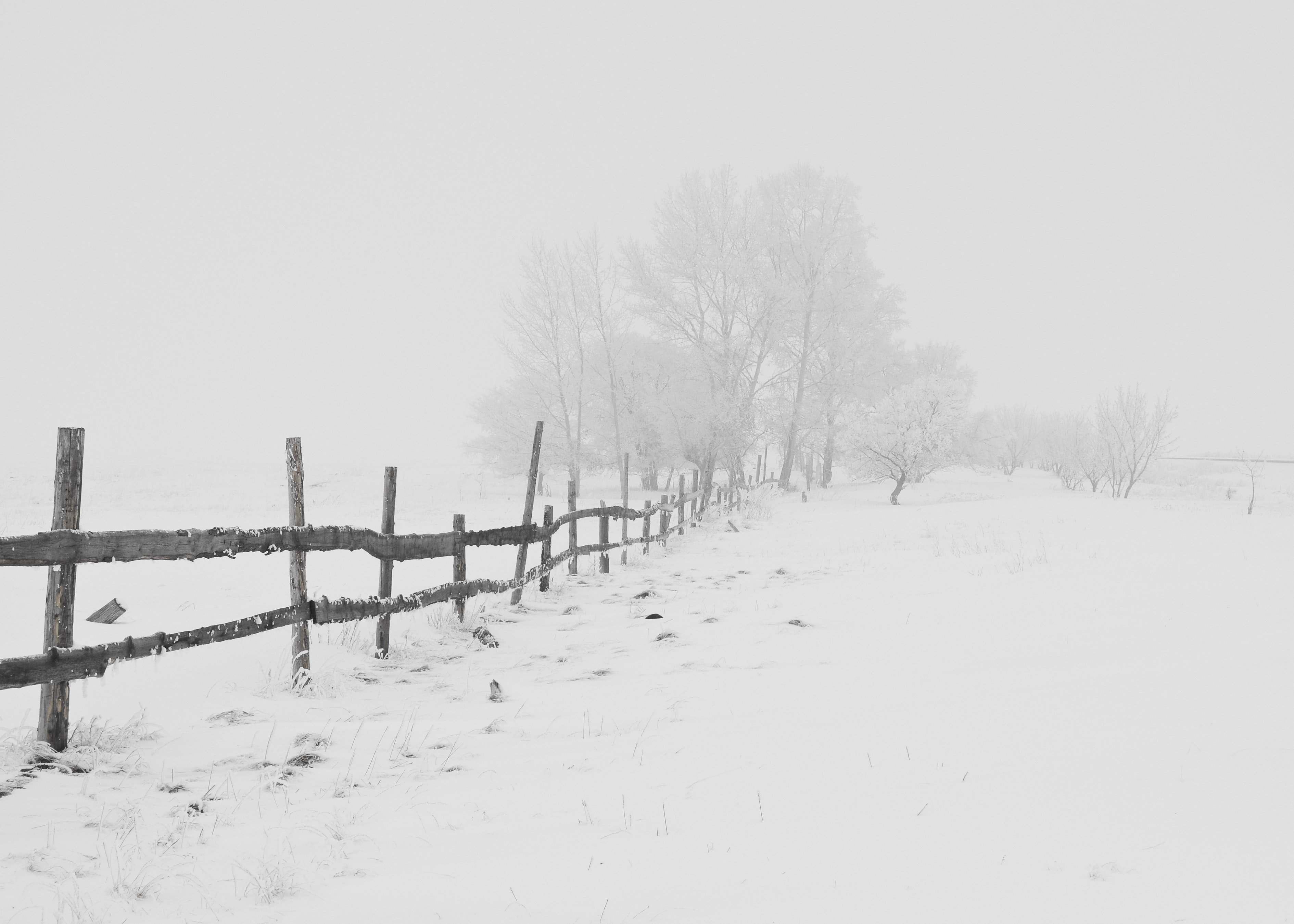 Fuerte nevada. | Foto: Pexels
