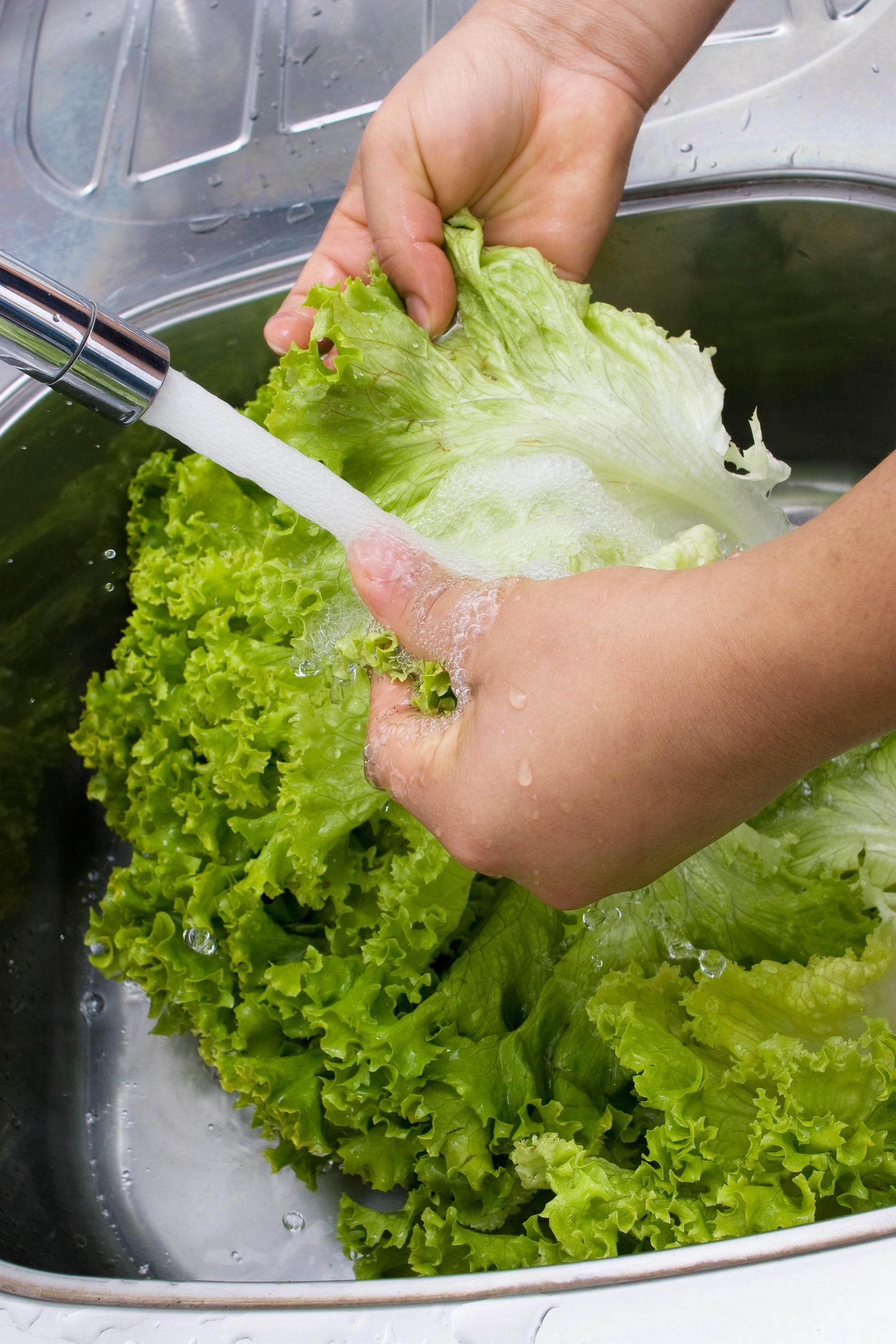 Health officials recommend thoroughly washing fresh produce, though they caution that Cyclospora can cling to some foods and may not be fully removed. Michigan authorities have also advised discarding the outer two or three lettuce leaves before rinsing the rest under running water. | Source: Getty Images