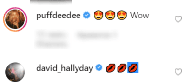 Commentaire de Darina Vartan et David Hallyday sur la photo d'Ilona Smet | Photo : Instagram/ Ilonasmet