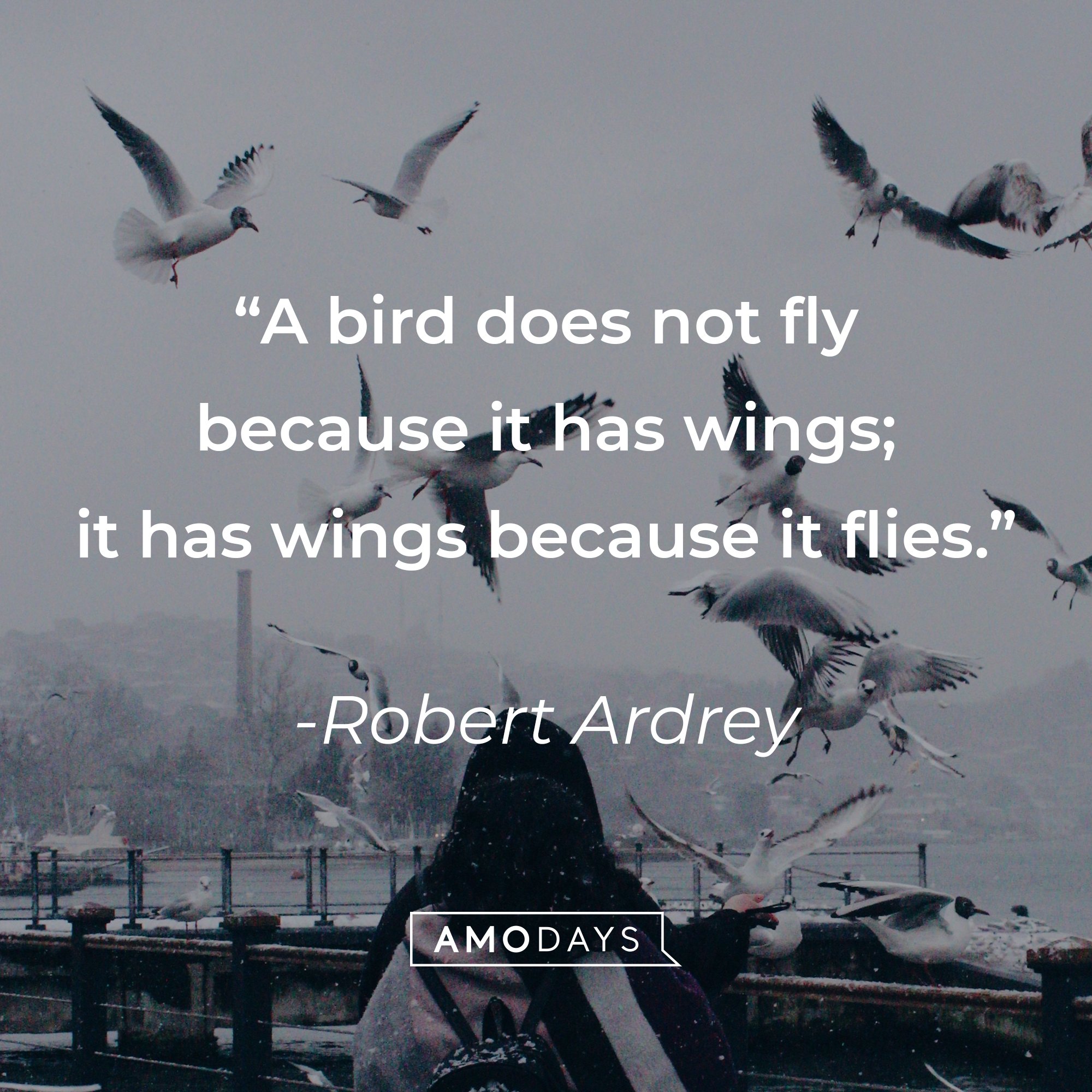 Robert Ardrey's quote: "A bird does not fly because it has wings; it has wings because it flies." | Image: AmoDays