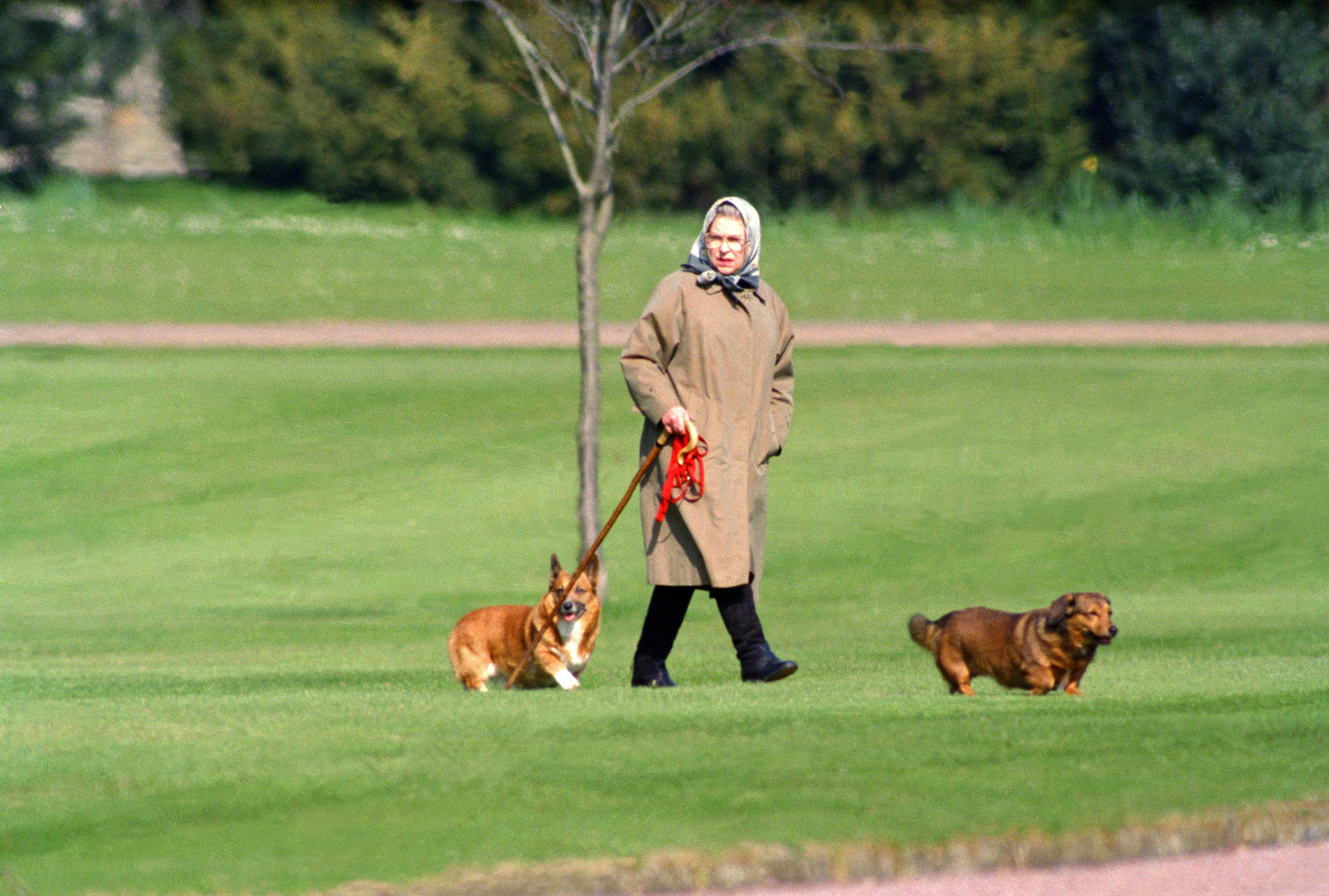Queen Elizabeth II in Windsor in 1994. | Source: Getty Images 
