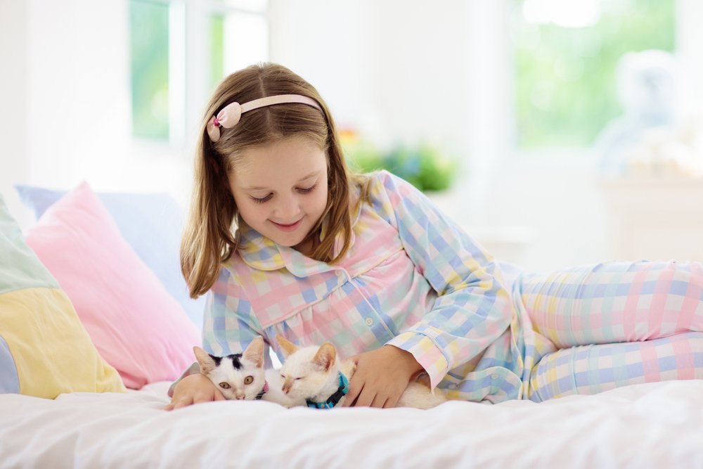 Niña juega con gatos bebé en su cama en un dormitorio blanco. | Foto: Shutterstock