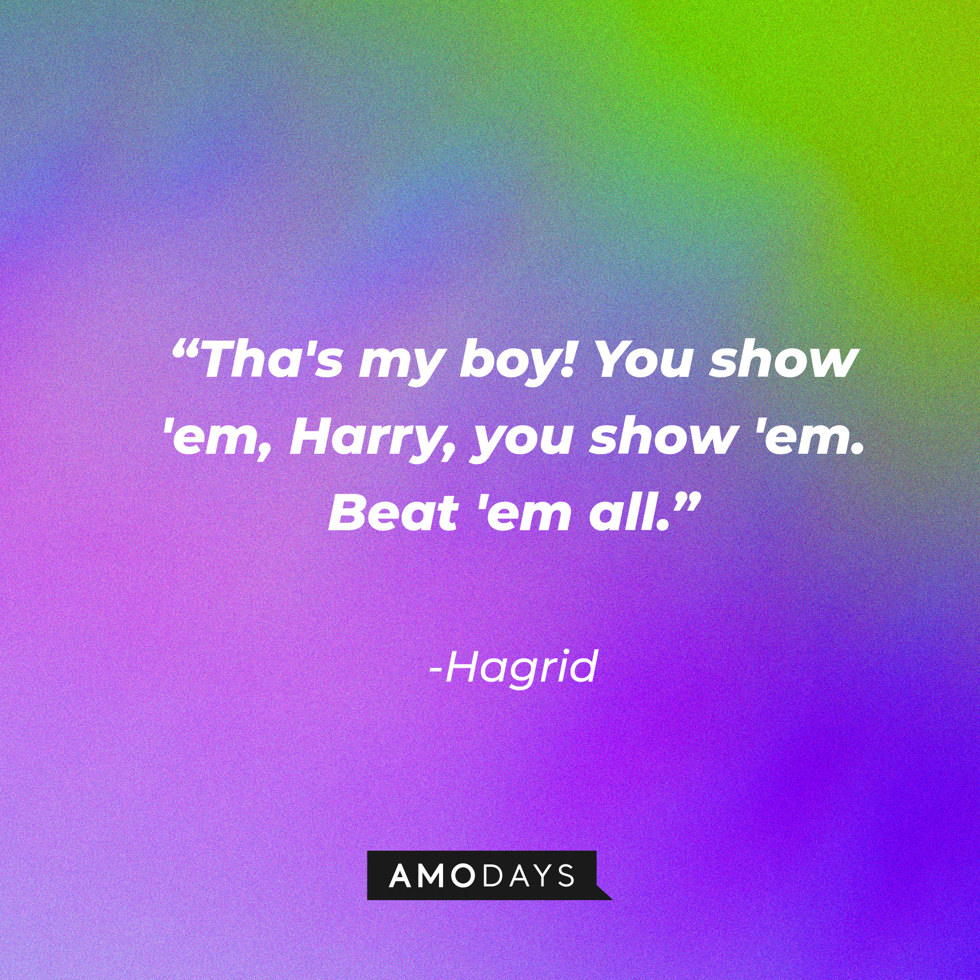 Hagrid's quote: "Tha's my boy! You show 'em, Harry, you show 'em. Beat 'em all." | Source: AmoDays