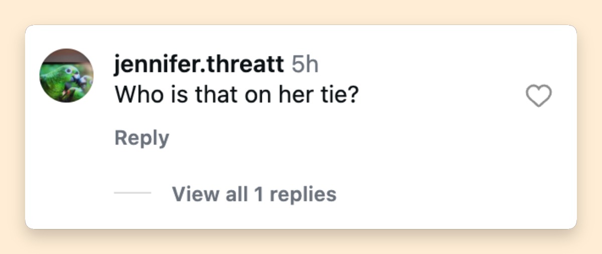 A fan reaction to Lisa Rinna's tie. | Source: Instagram/usweekly