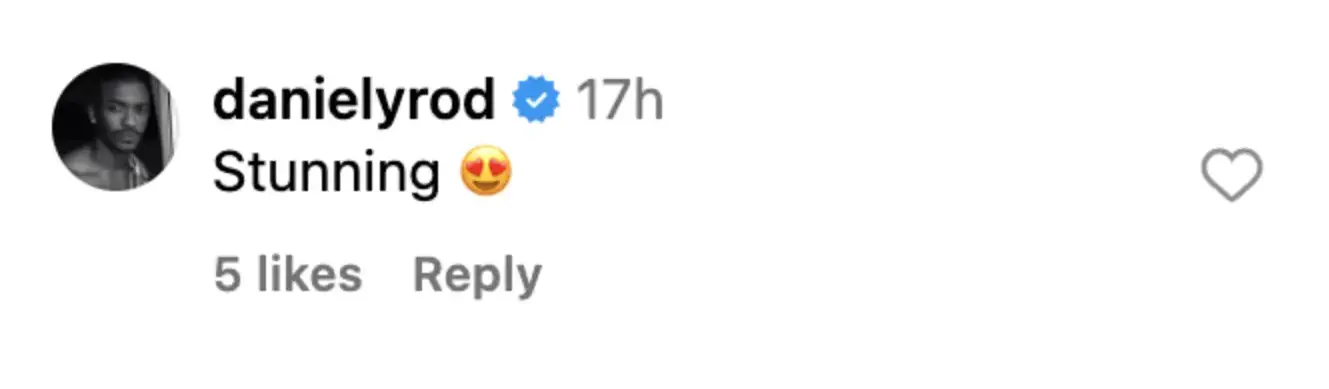 Ein Fan kommentiert den Beitrag von Cher | Quelle: Instagram/cher