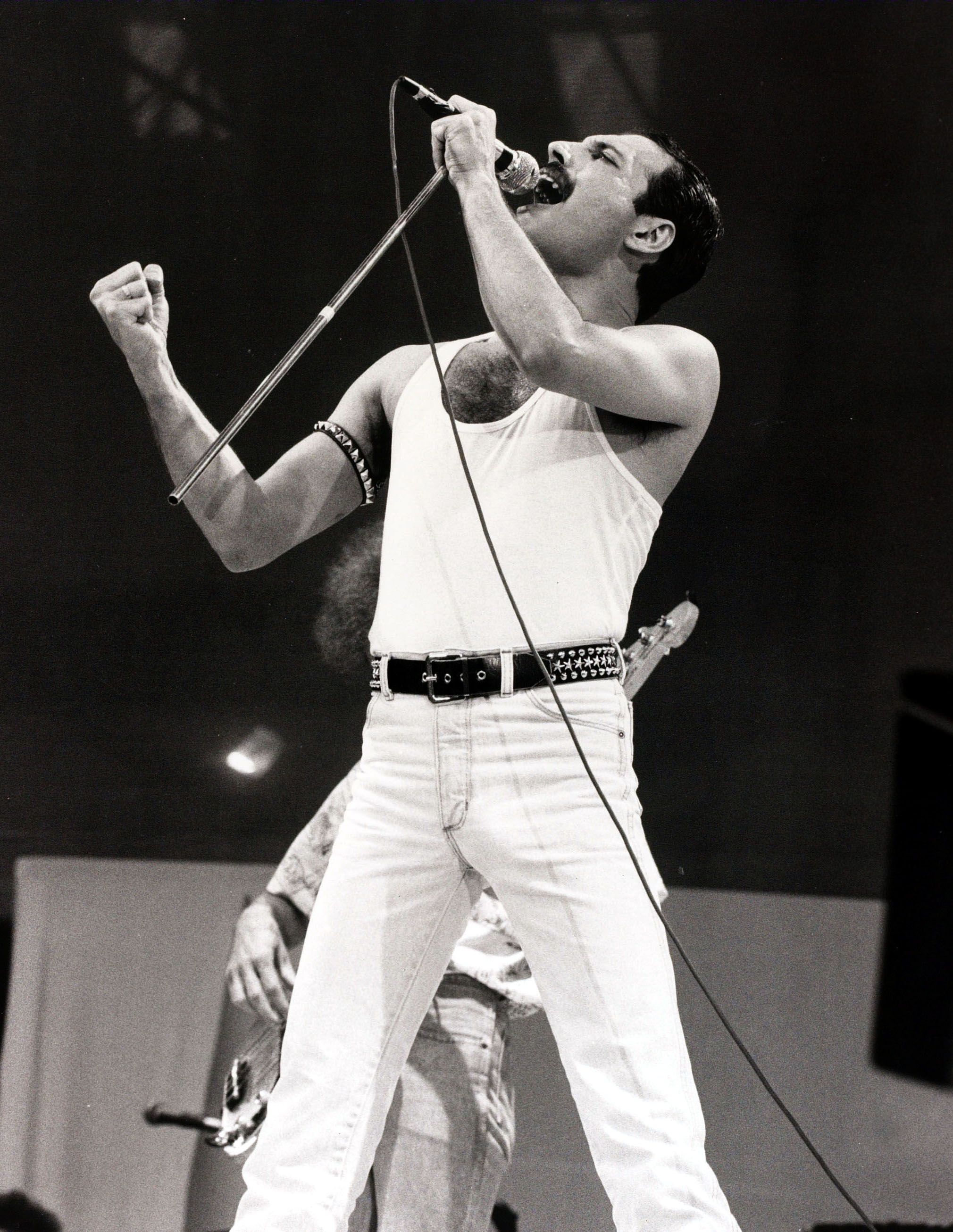 L'inoubliable Freddie Mercury sur scène. l Photo : Getty Images