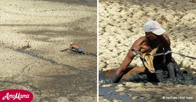 Man risks own life to save helpless creature stuck in mud