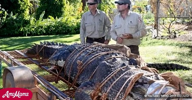 Rangers successfully catch 1,300-lb crocodile after decade-long search