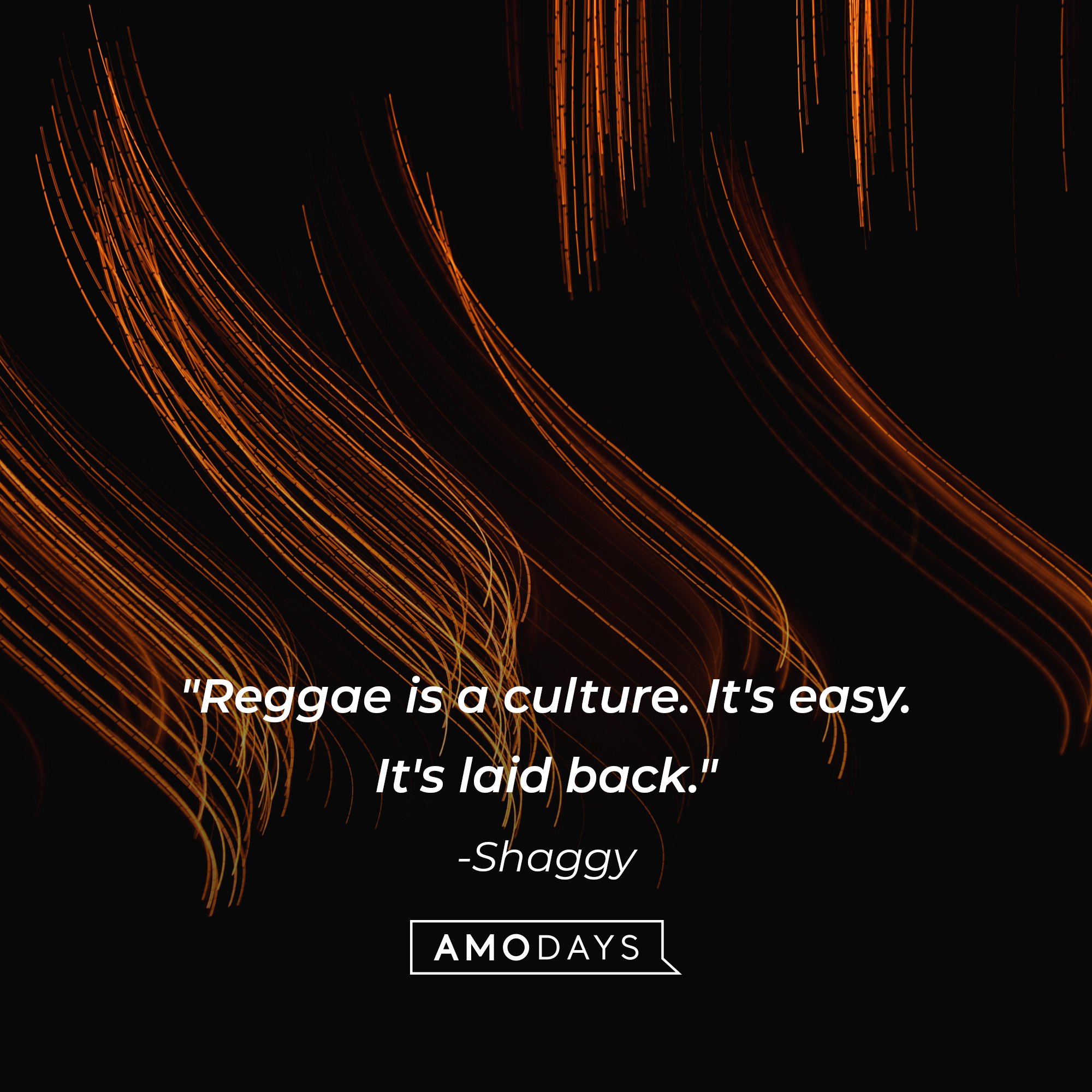 Shaggy's quote: "Reggae is a culture. It's easy. It's laid back." | Image: AmoDays