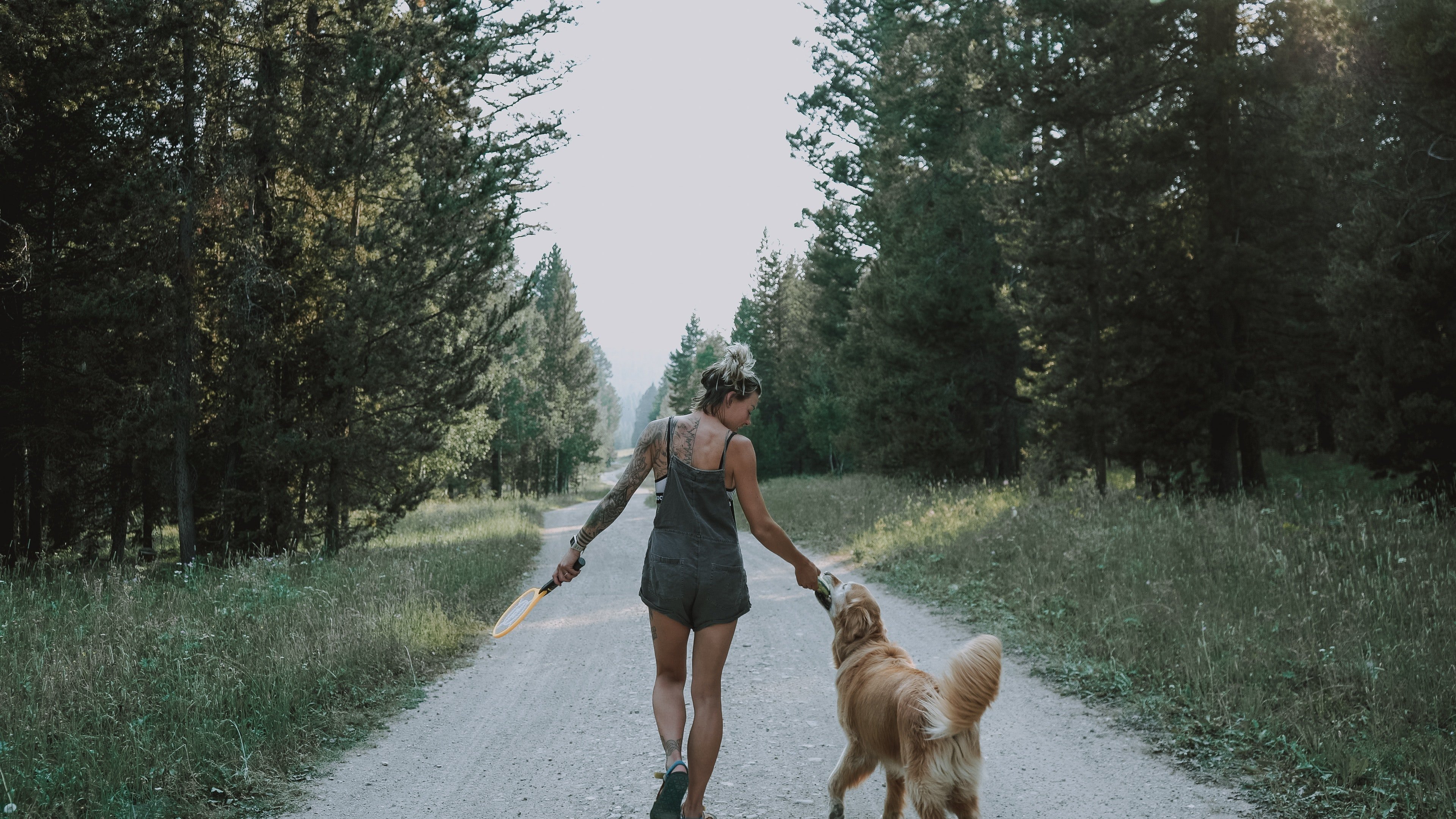 Seeing that her golden retriever had had a field day at the park, Annette headed home to rest. | Source: Pexels