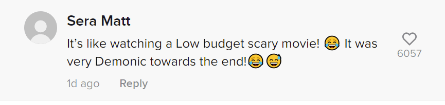 A user's comment on the video of a woman who threw trash on a neighbor's porch. | Photo: tiktok.com/@neighborhood.wars