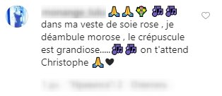 Commentaire d'un fan pour soutenir Christophe. | Photo : Instagram/raphaelharoche Commentaire d'un fan pour soutenir Christophe. | Photo : Instagram/raphaelharoche