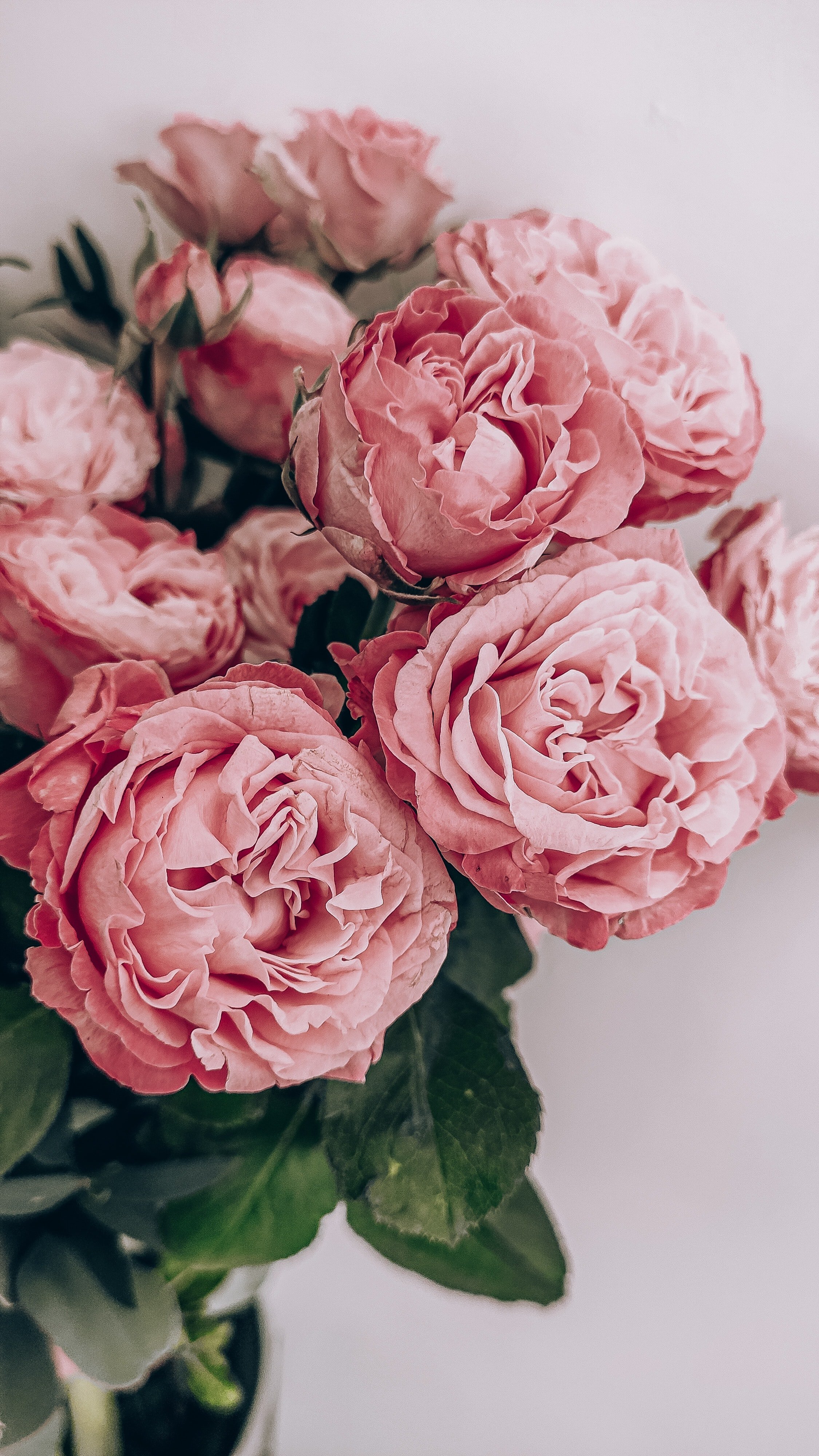 The florist suggested a bouquet of pink roses. | Source: Unsplash