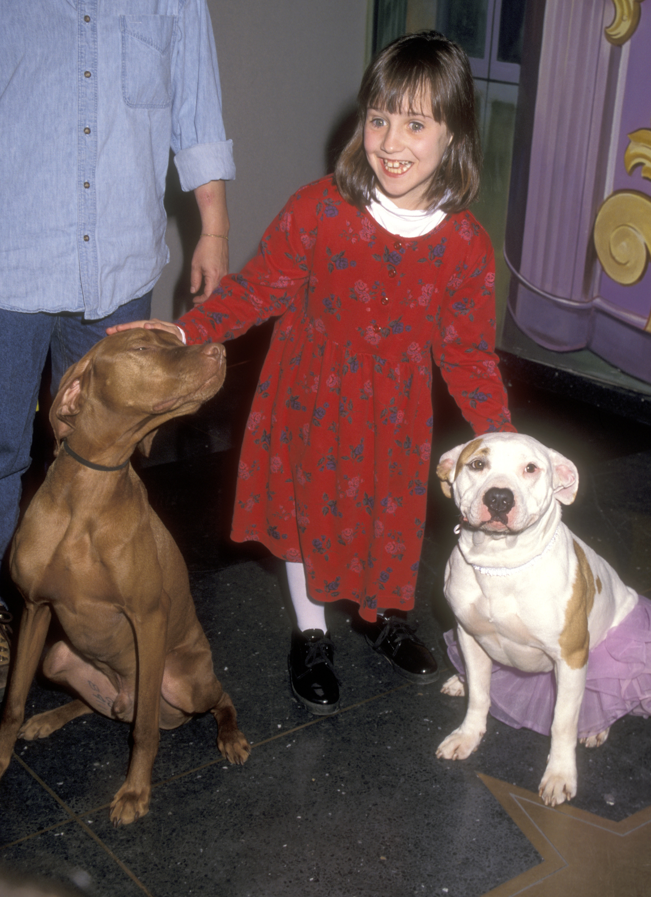 Mara Wilson at the M&M's Candies Hollywood for Children Family Film Festival on April 8, 1996 | Source: Getty Images