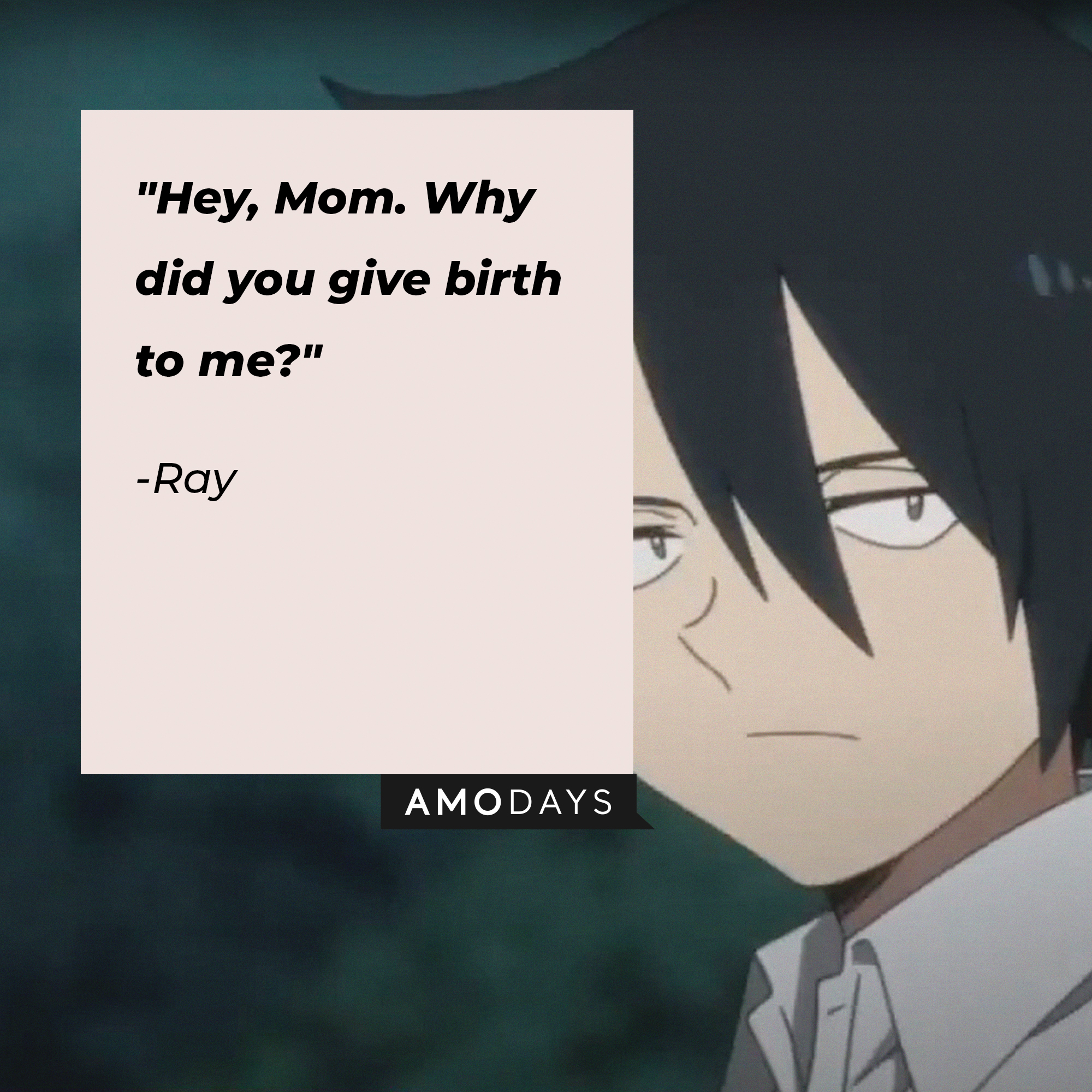 Ray's quote: "Hey, Mom. Why did you give birth to me?" | Image: AmoDays