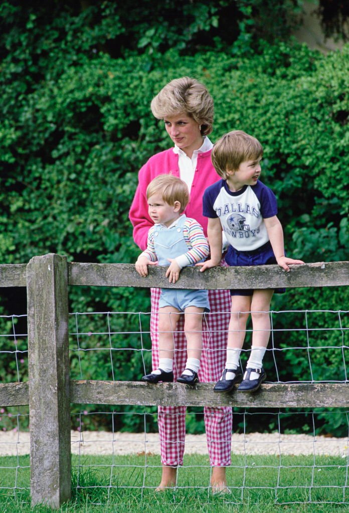 Diana, Prinzessin von Wales mit ihren Söhnen, William und Harry auf dem Gelände von Highgrove in Tetbry, Gloucestershire (Foto von Tim Graham) I Quelle: Getty Images