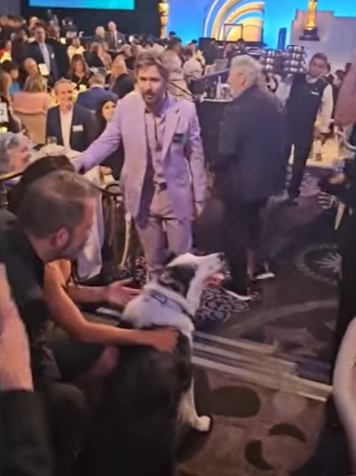 Ryan Gosling and Messi the dog attends the Academy Award Nominee Luncheon 2024 in Los Angeles, California, from a video dated February 13, 2014 | Source: YouTube/@WION