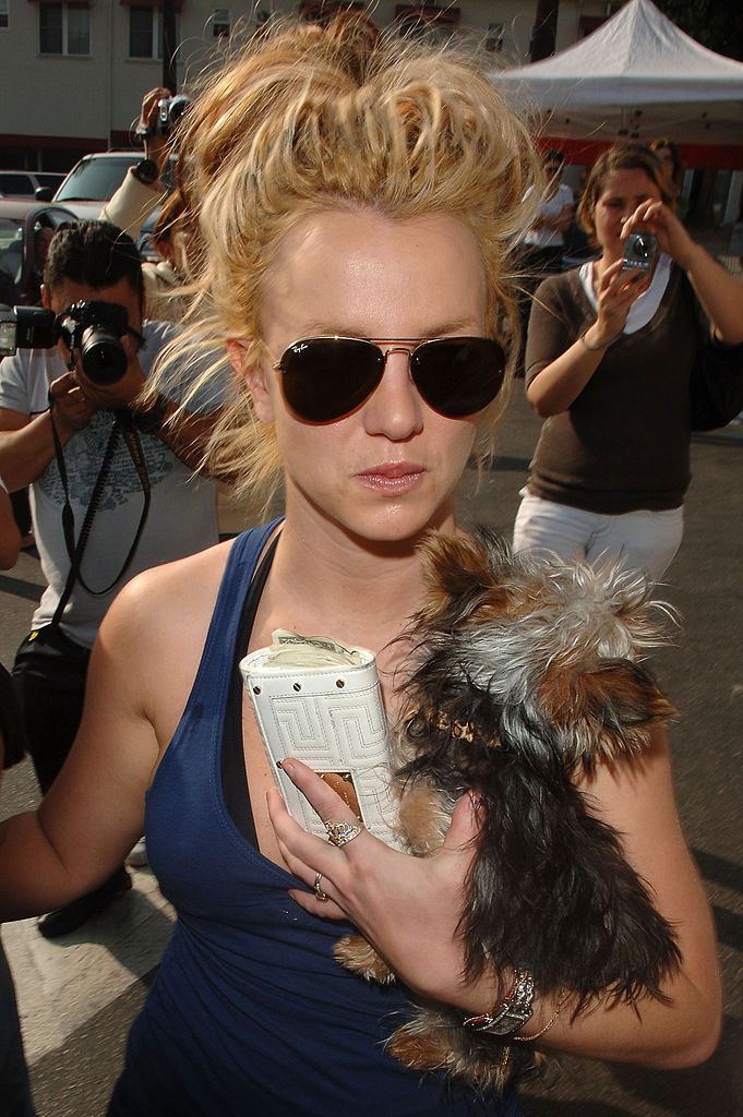 Singer Britney Spears at Petco on November 17, 2007 in Los Angeles.  | Photo: Getty Images