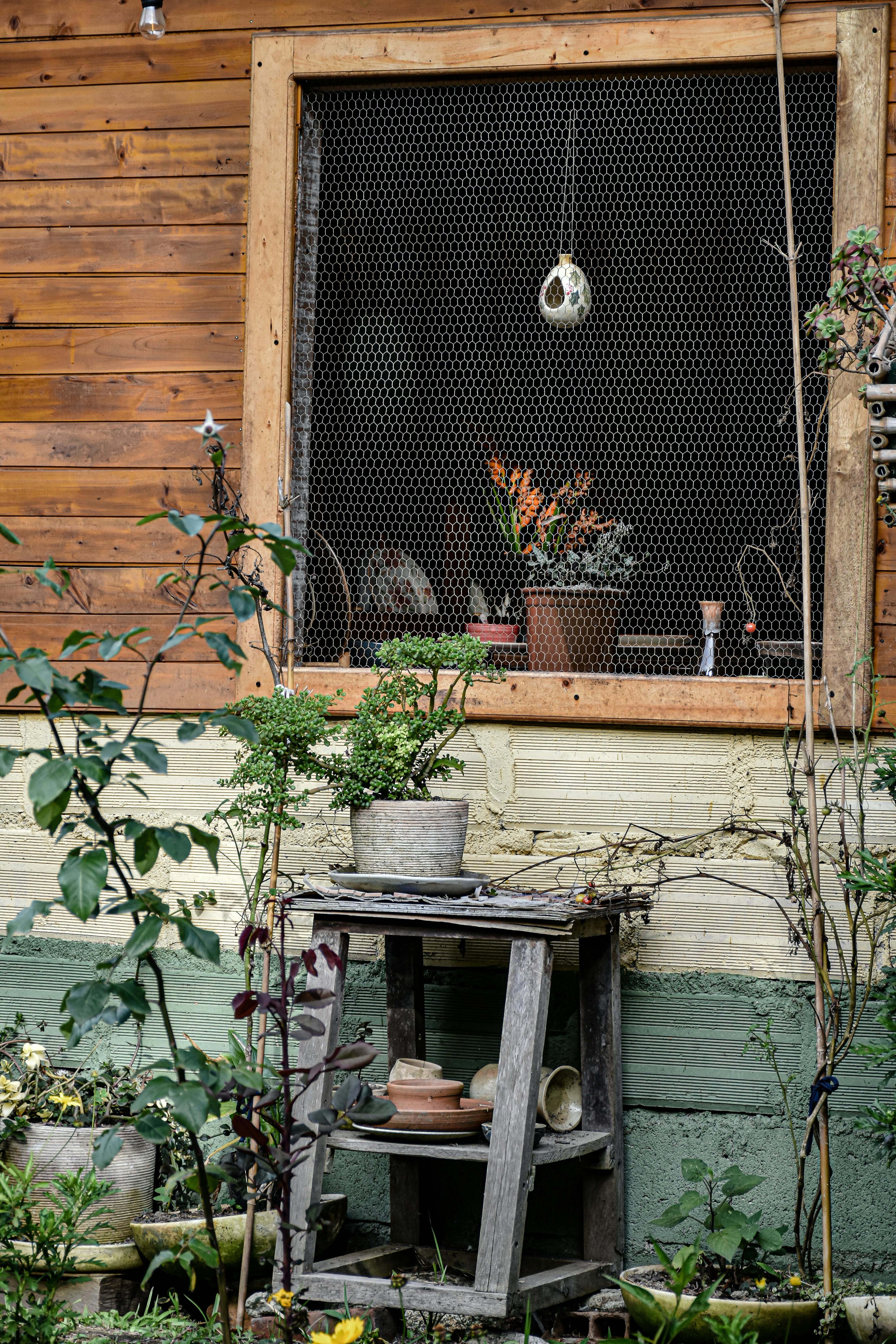 A simple garden space | Source: Pexels