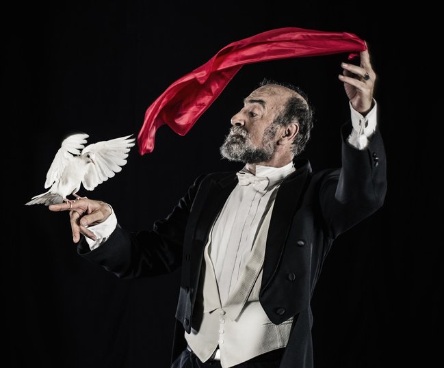 A magician doing a magic trick reveals white dove under a silk cloth that rests on his fingers, Spain | Source: Getty Images