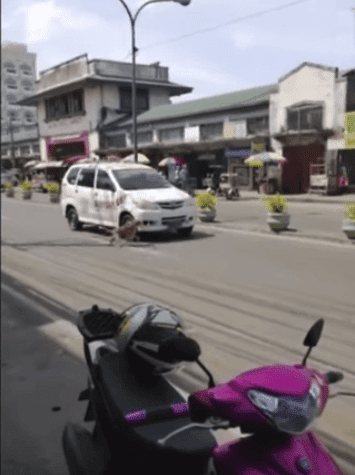 La chienne tentant d'alerter les conducteurs. l Source: YouTube/Video Break