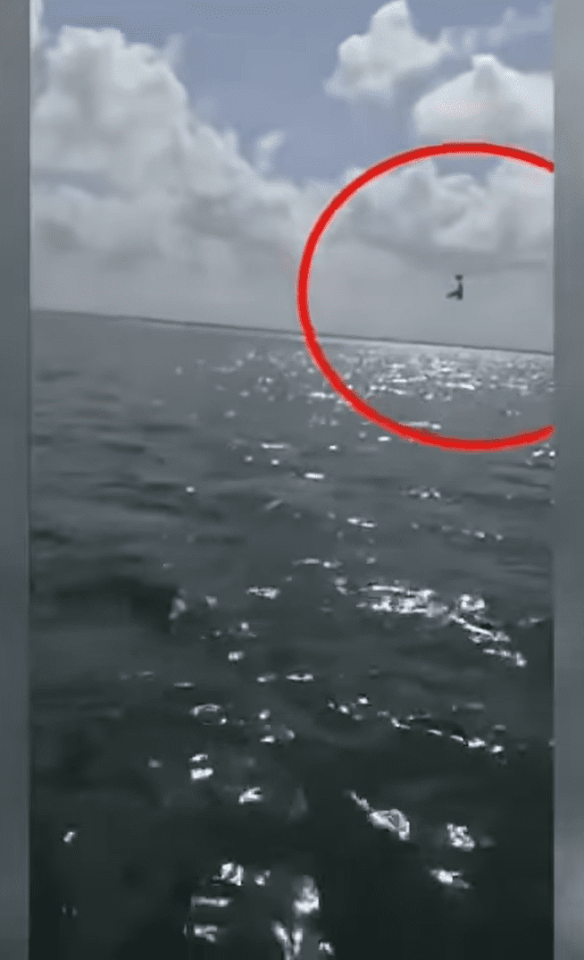 La avioneta que se desploma, en el video familiar. | Foto: YouTube/MILENIO