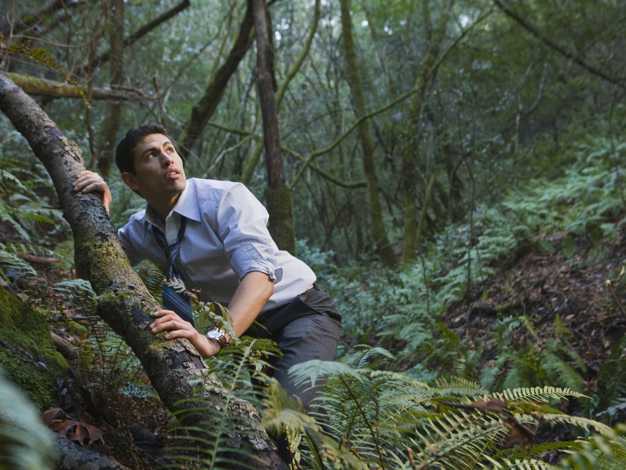 OP went into the forest to find his daughter. | Photo: Getty Images