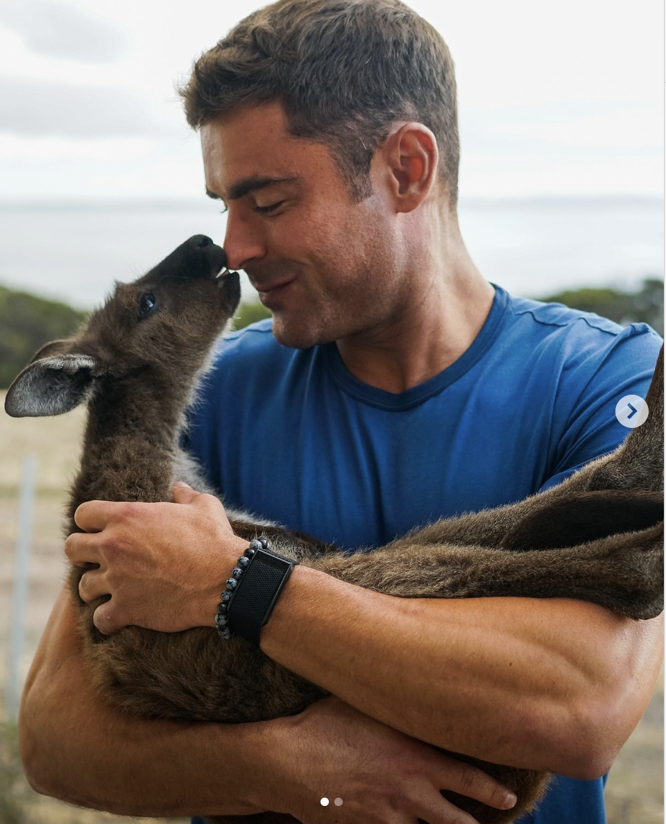 Zac Efron getting cozy with a kangaroo on Kangaroo Island in Australia | Source: instagram/zacefron