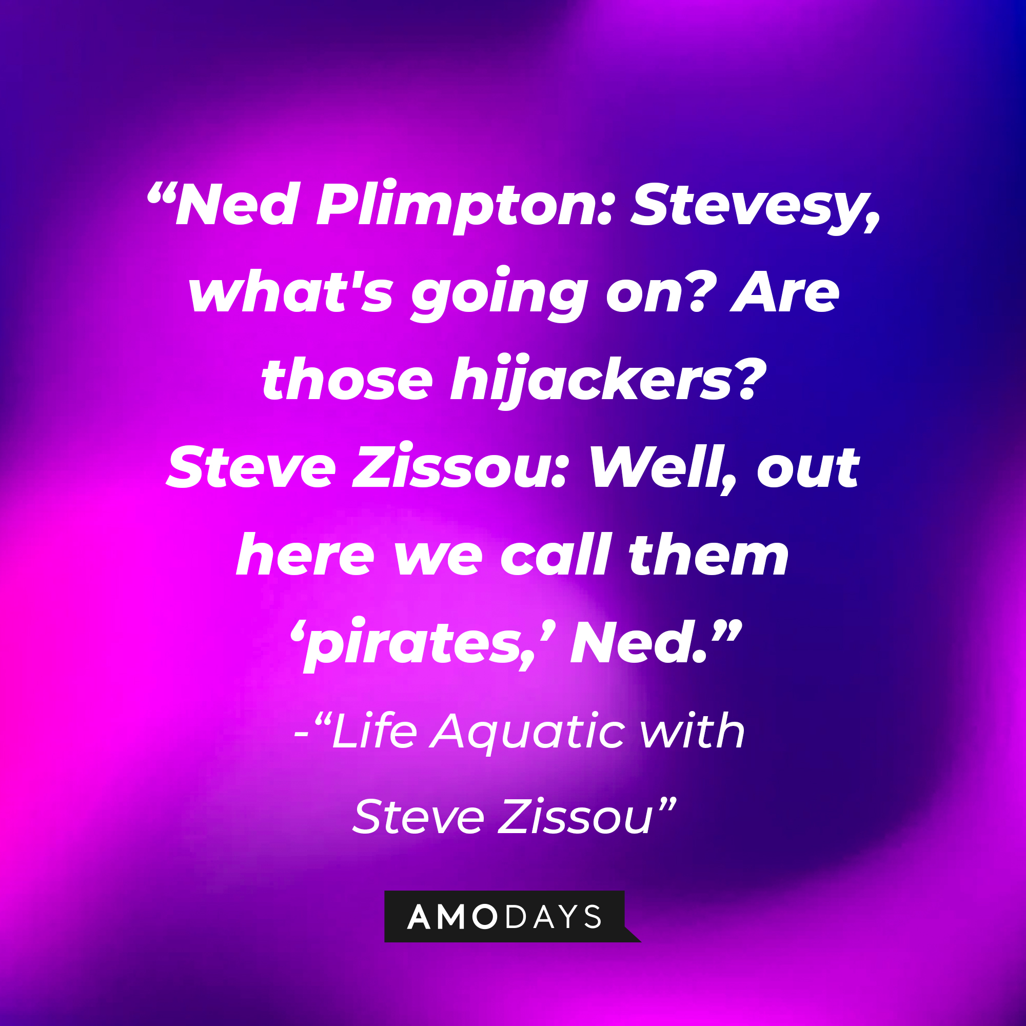 A photo with the dialogue, "Ned Plimpton: Stevesy, what's going on? Are those hijackers? Steve Zissou: Well, out here we call them 'pirates,' Ned." | Source: Amodays