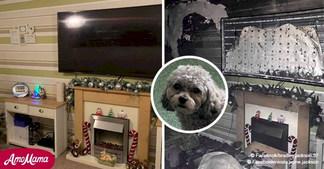 Young family left homeless after Christmas decorations caught fire and destroyed their home