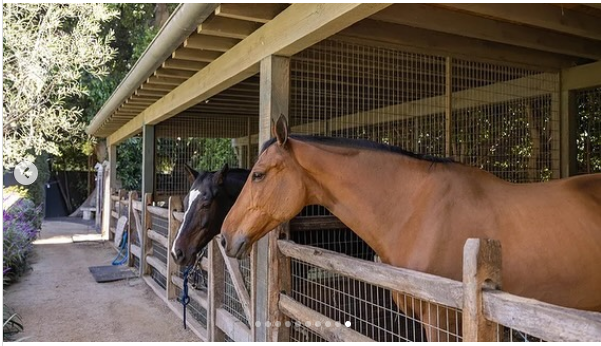 Equestrian stables at Ben Affleck's estate dated August 5, 2024 | Source: Instagram/robbreportrealestate