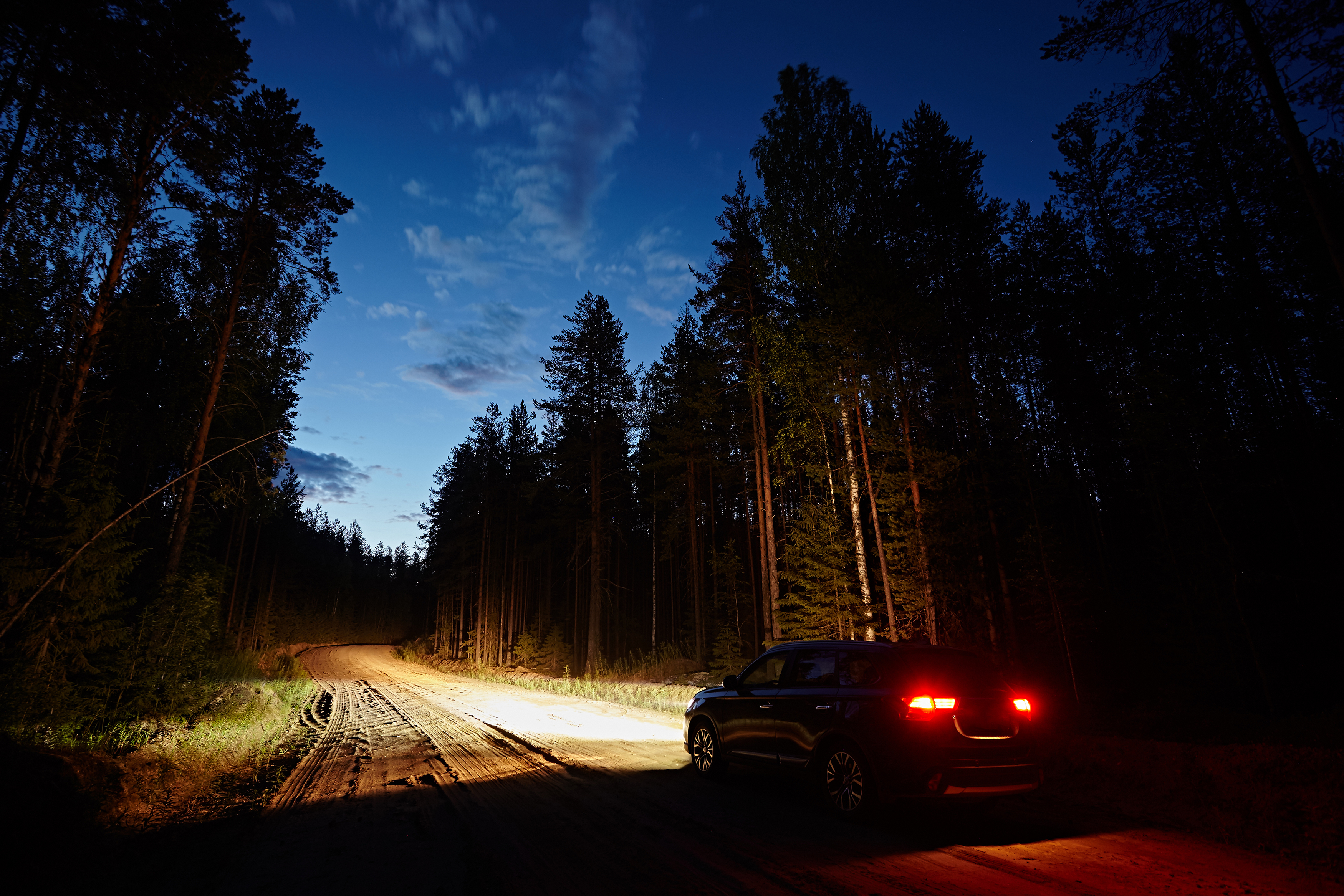 A car driving along a dirt road in the woods | Source: Shutterstock