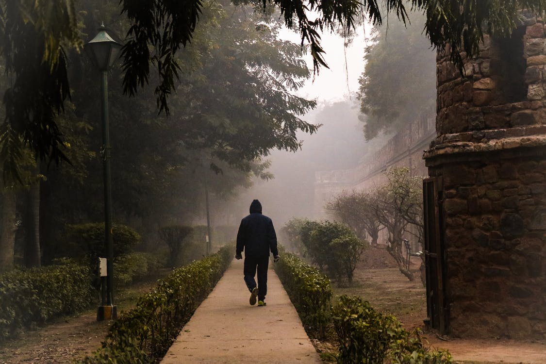 Hombre caminando por un frío parque. | Foto: Pexels
