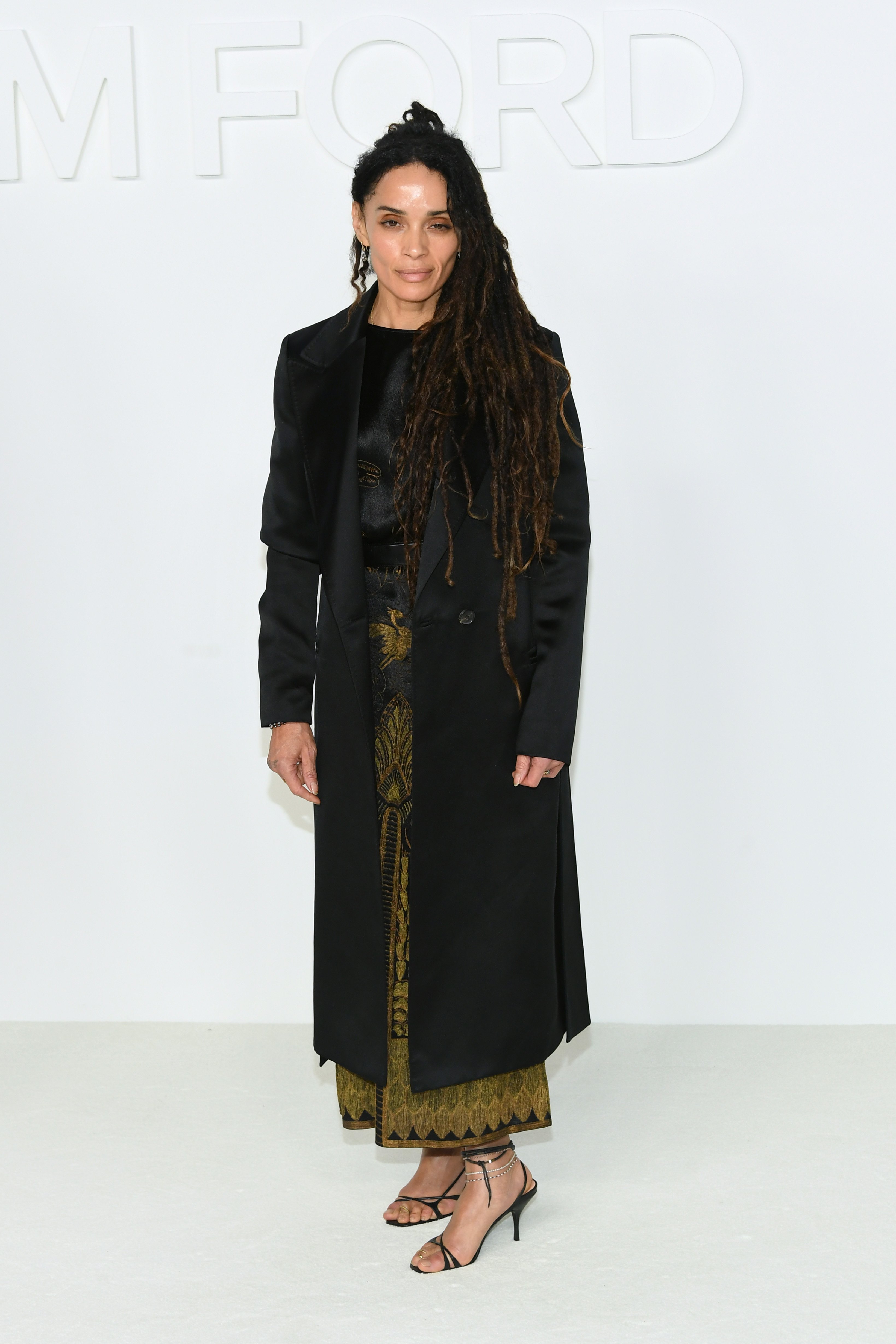 Lisa Bonet posed for a picture in California on February 7, 2020 | Source: Getty Images 