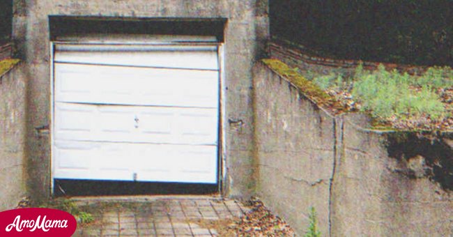 She lived in a garage with her babies | Source: Shutterstock.com