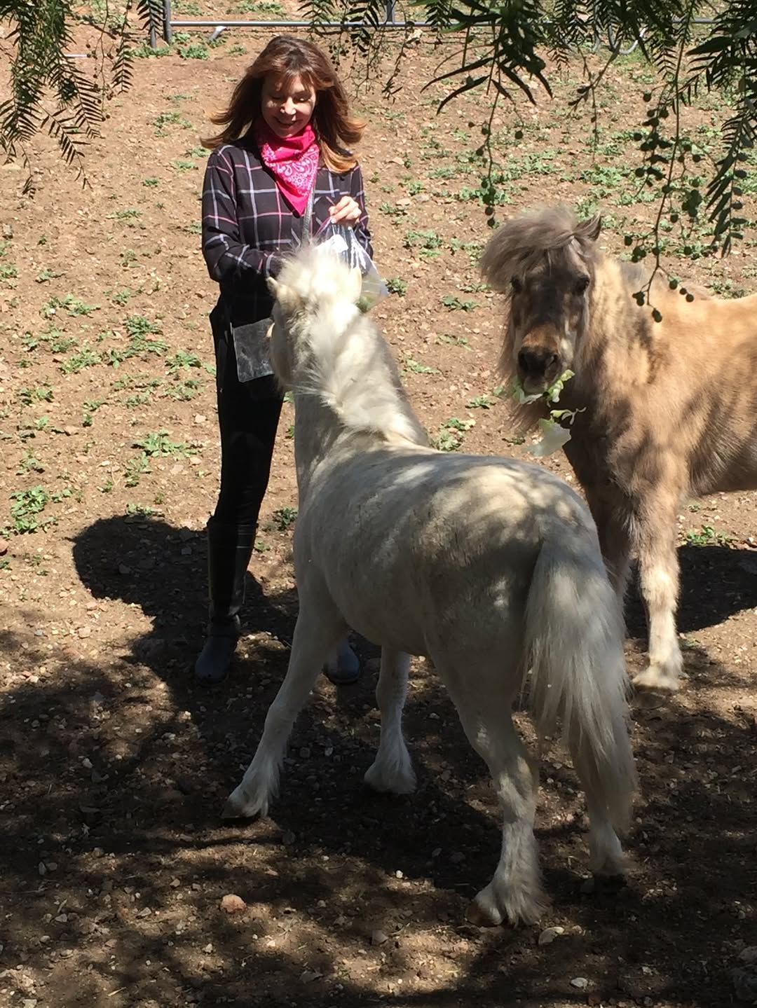 Victoria Principal with some of her rescued horses on July 8, 2025 | Source: Instagram/victoriaprincipalofficial
