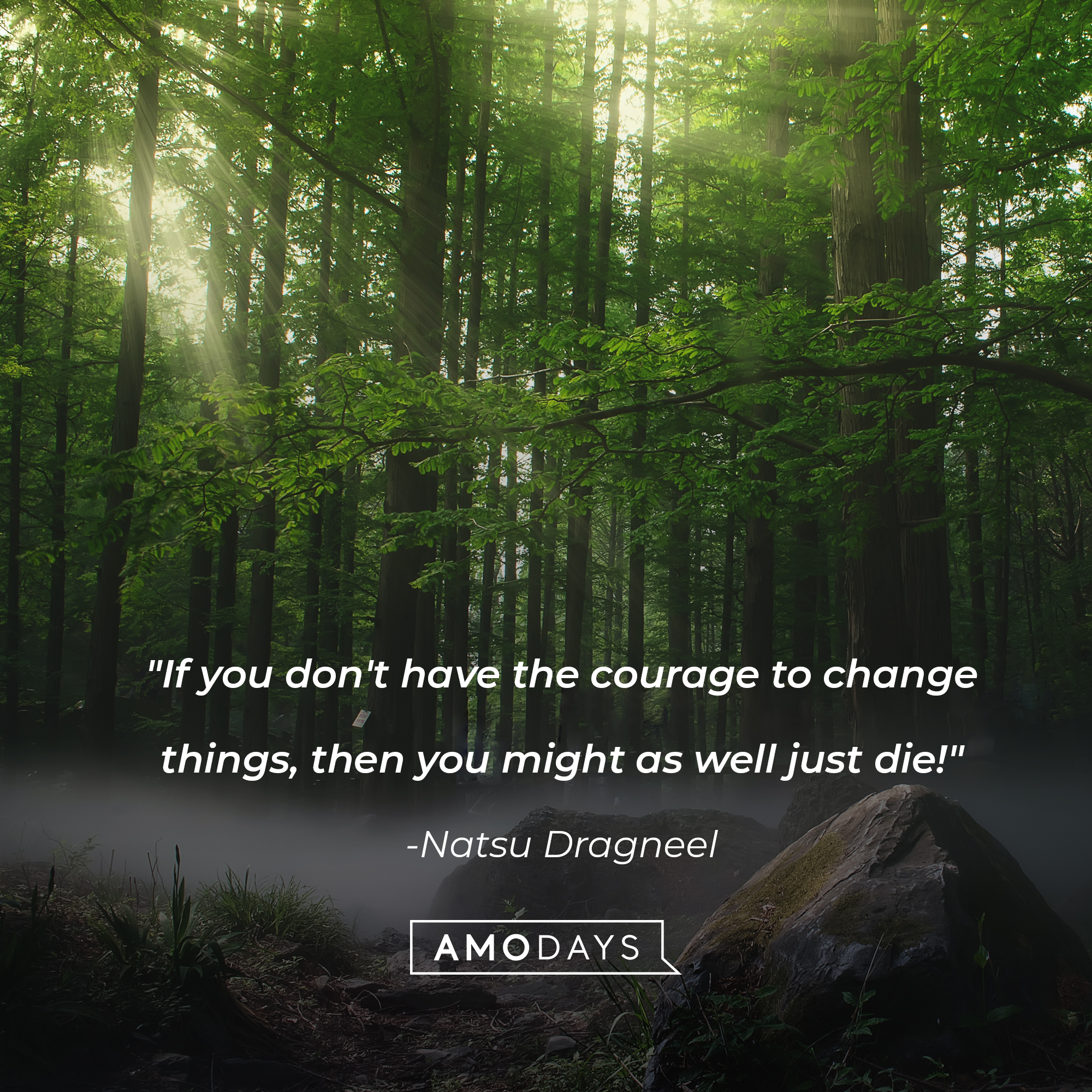 Natsu Dragneel's quote: "If you don't have the courage to change things, then you might as well just die!" | Image: Unsplash