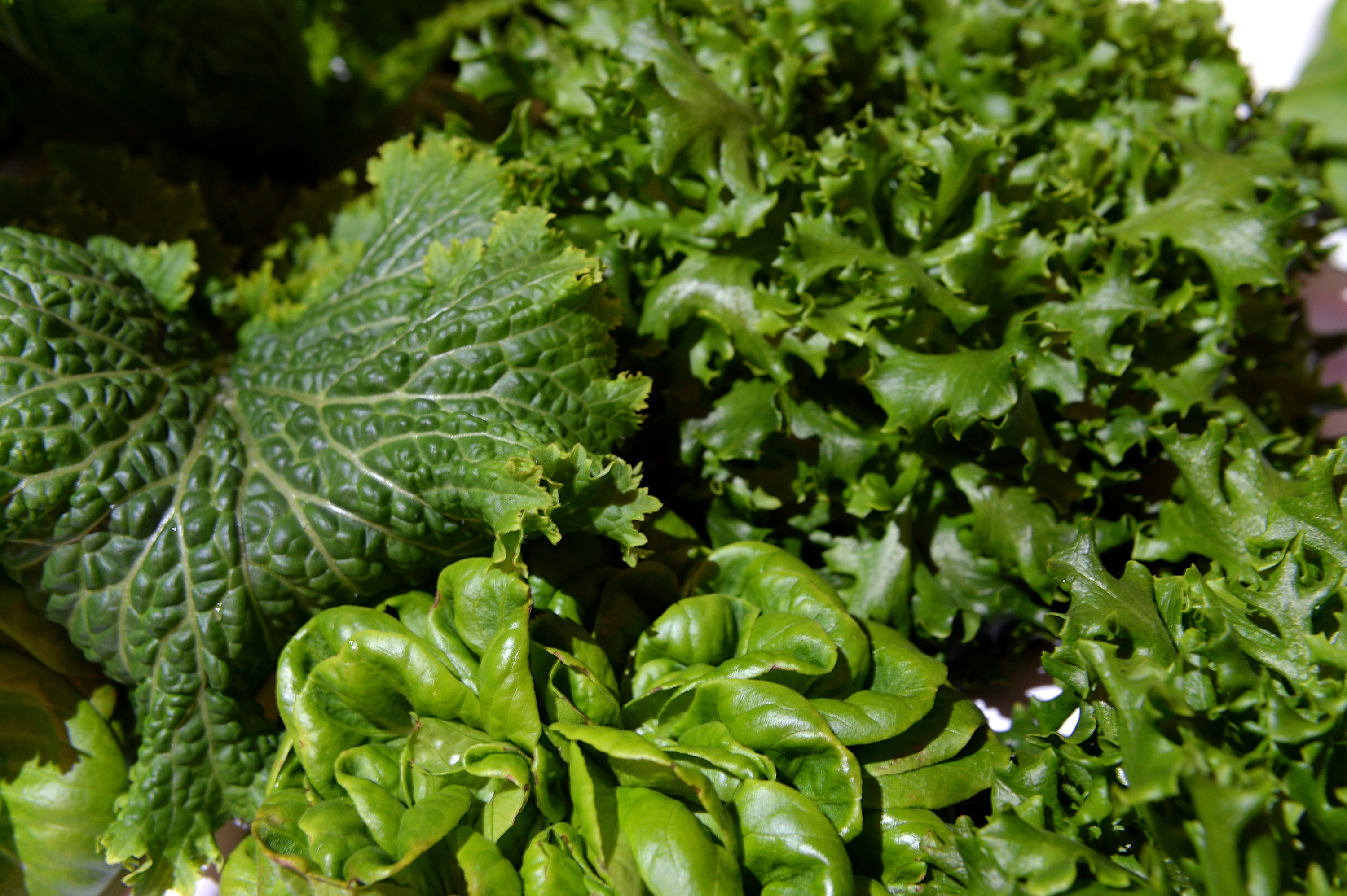 A picture of leafy greens. | Source: Getty Images