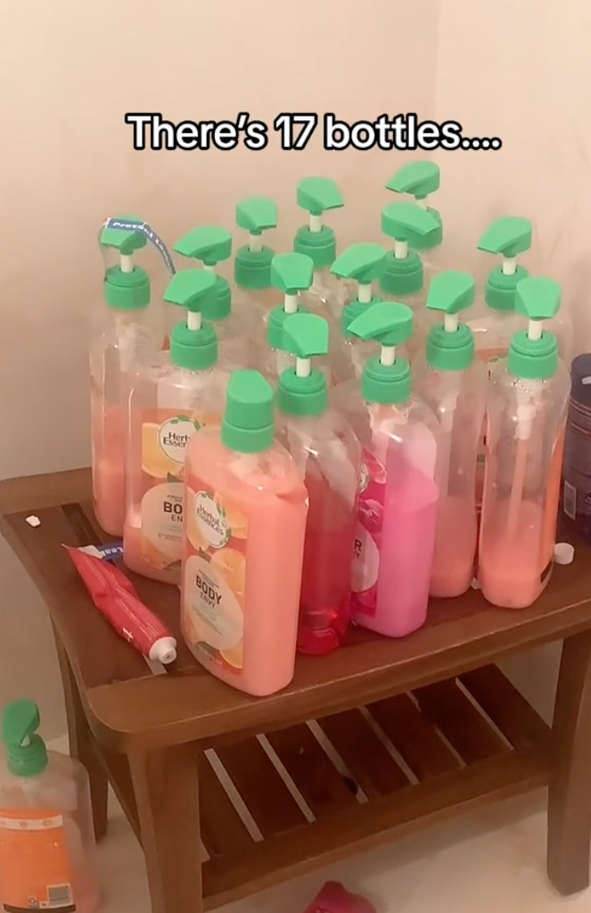 She counted and found 17 bottles in total. | Source: TikTok.com/@missmcnallyyy