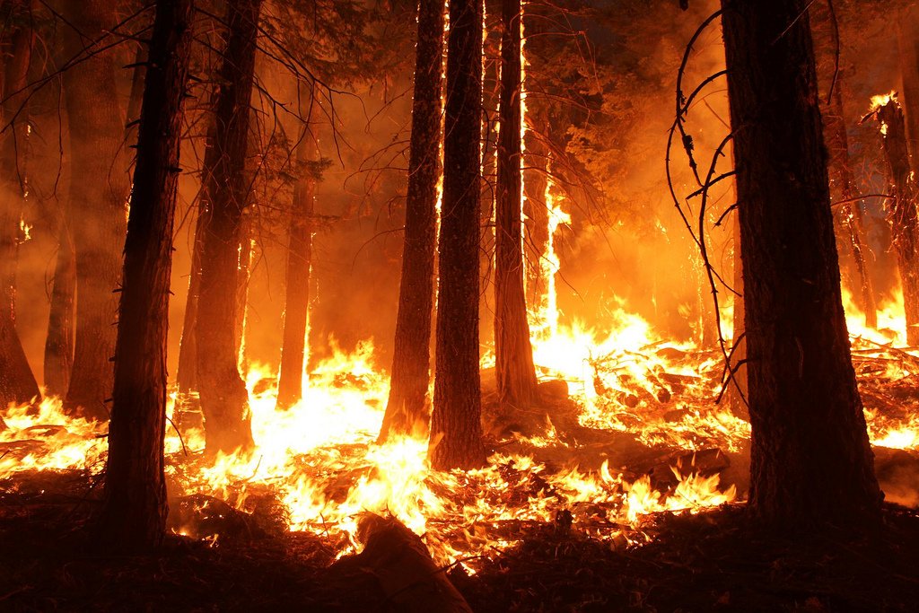 Incendio forestal. | Foto: Flickr