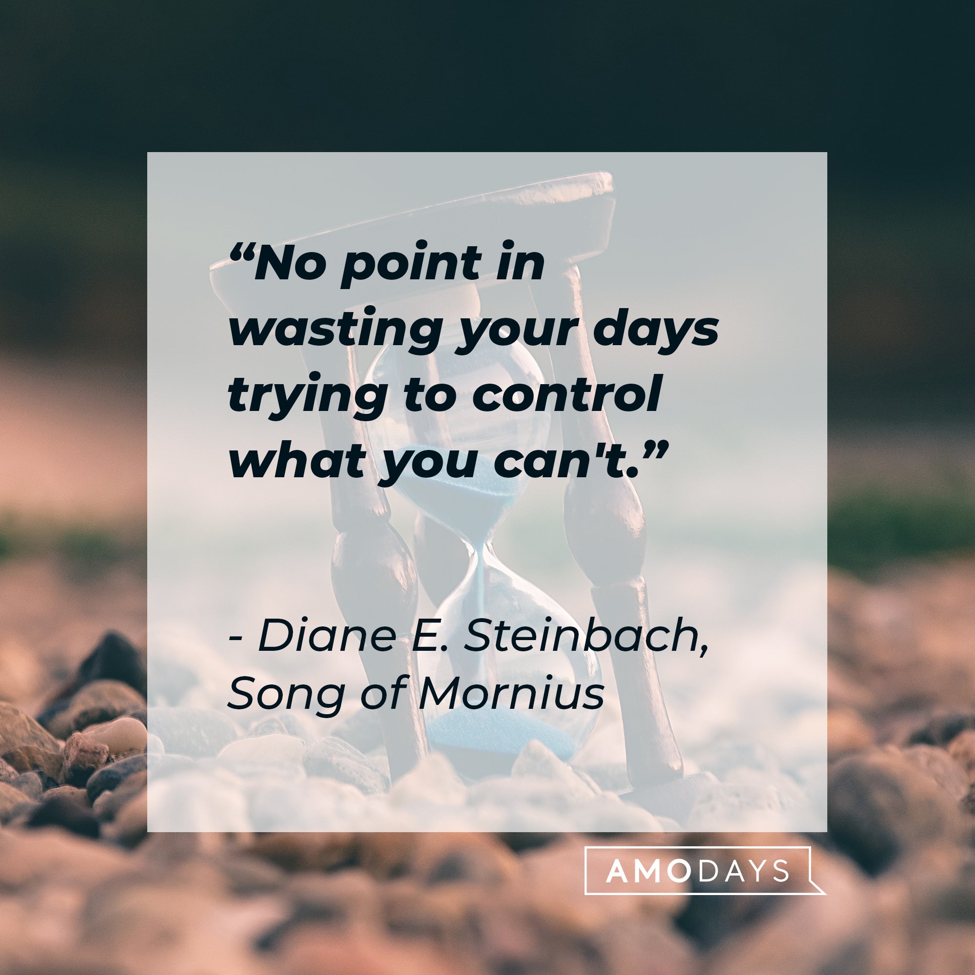 Diane E. Steinbach, Song of Mornius’s quote: "No point in wasting your days trying to control what you can't." | Image: AmoDays
