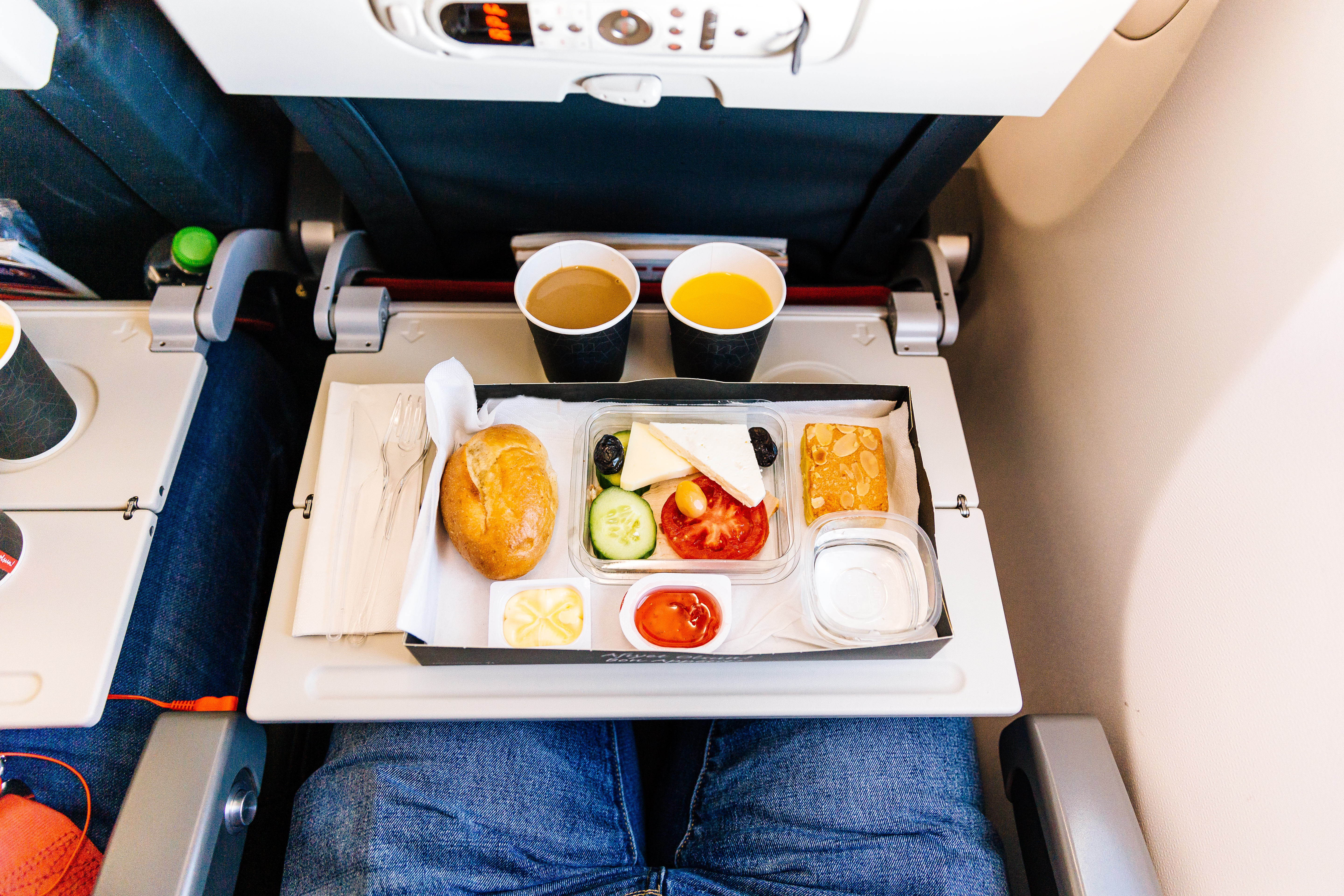 Airplane food served to an economy class passenger | Source: Getty Images