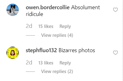 Fan's comment on Celine Dion's post. | Source: Instagram/celinedion